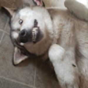 Meet your Posher, Brandi